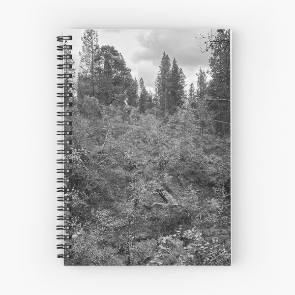 Item preview, The fallen one bw designed and sold by Jouko Lehto Photography.