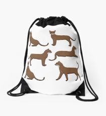 Abyssinian Drawstring Bag
