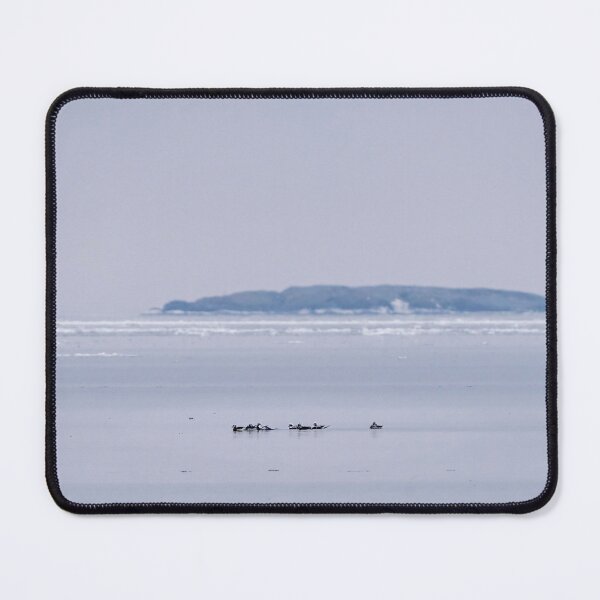 Item preview, Long-tailed ducks on Baltic Sea designed and sold by ansaharju.