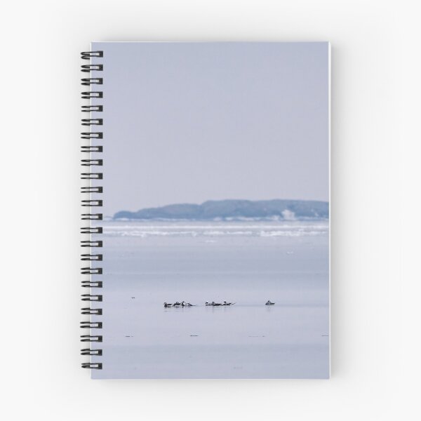 Item preview, Long-tailed ducks on Baltic Sea designed and sold by ansaharju.