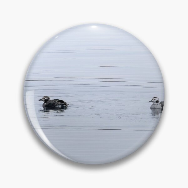 Item preview, Coween couple on Baltic Sea designed and sold by ansaharju.
