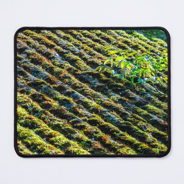 Item preview, Mossy roof designed and sold by Zolachrome Photography.
