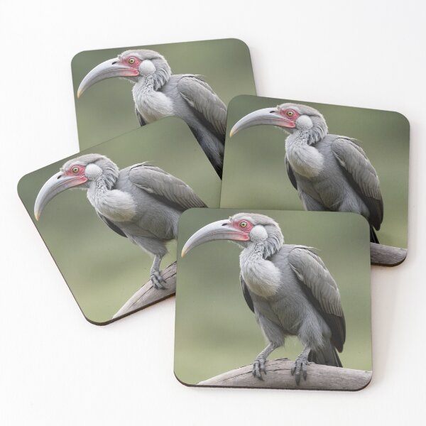 Item preview, Grey Ceylon Hornbill 2 designed and sold by laguitan10.