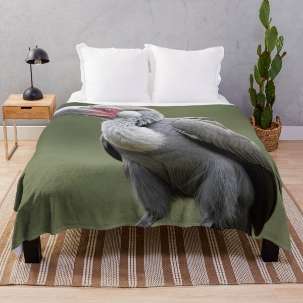 Item preview, Grey Ceylon Hornbill 2 designed and sold by laguitan10.