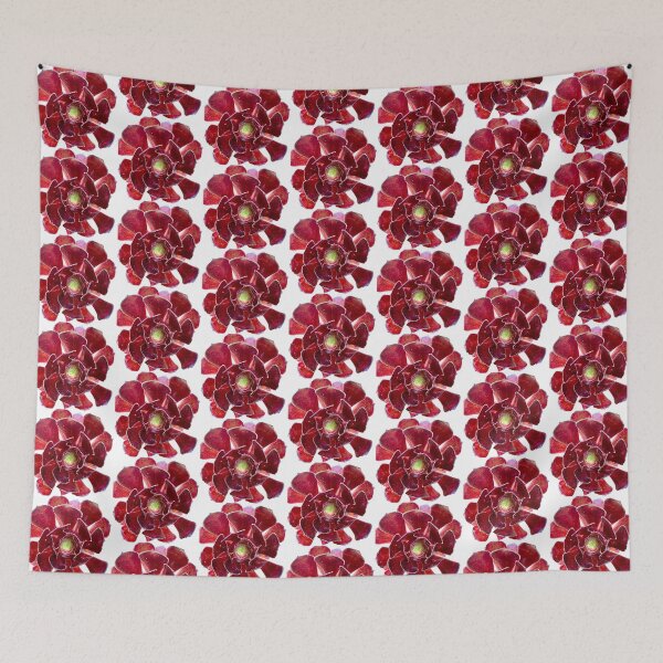 Item preview, AEONIUMV- ATROPURPUREUM designed and sold by flora-kitty-art.