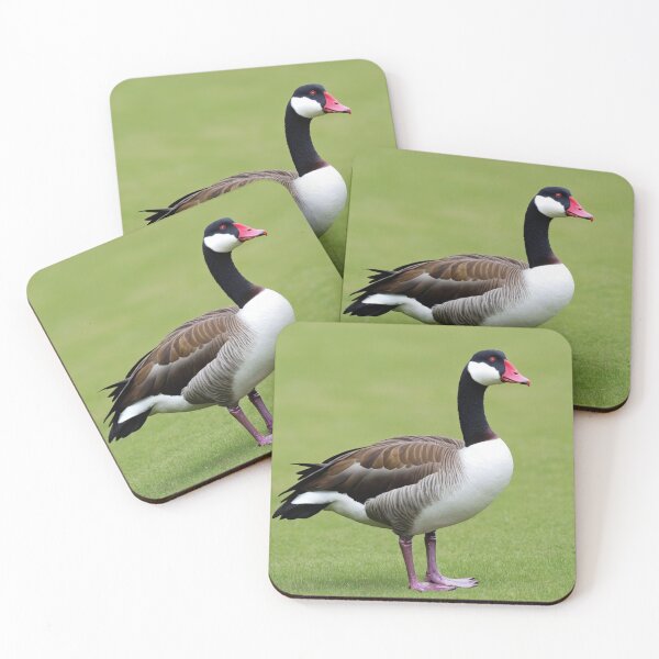 Item preview, Spur Winged Female Goose designed and sold by laguitan10.