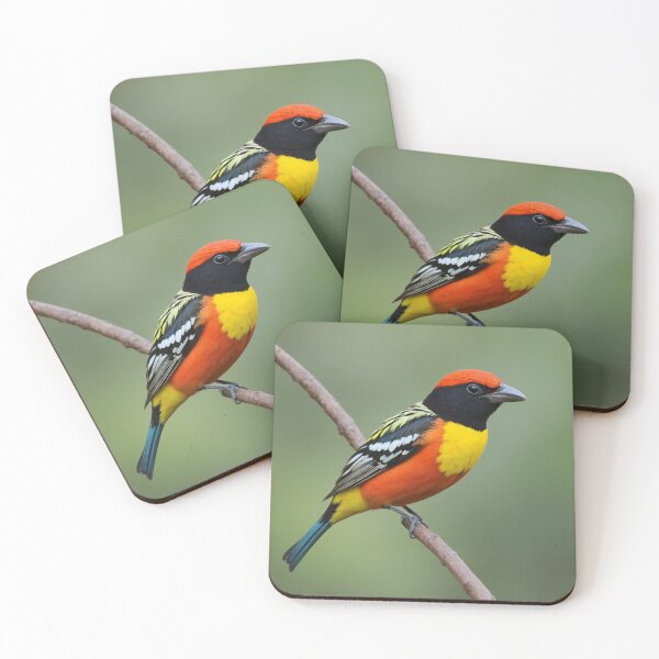 Item preview, Multi Colored Tanager In Summer designed and sold by laguitan10.