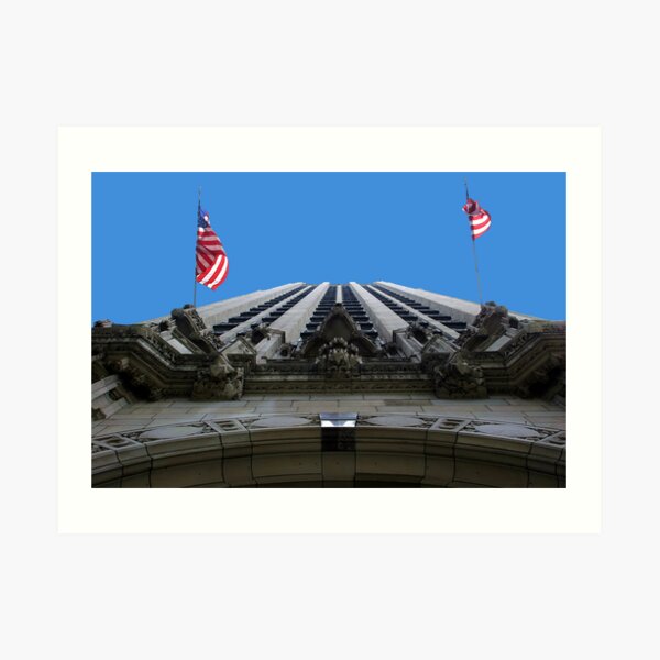Looking Up! Art Print