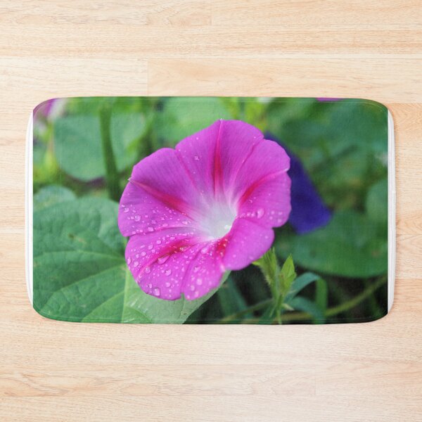 Item preview, Pink dewy morning glory  designed and sold by McFleur's Lens.