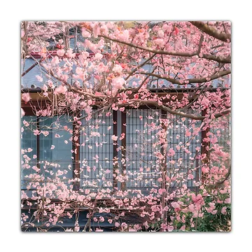 Artwork thumbnail, Japan Sakura Trees by R3FDesign