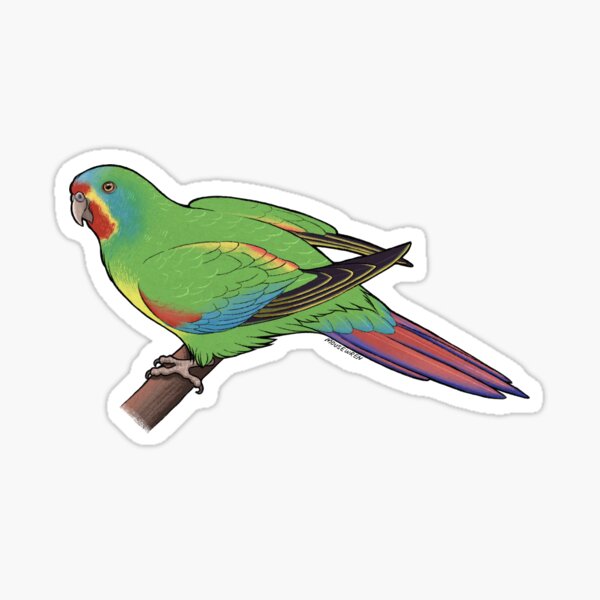 Item preview, Australian Swift Parrot designed and sold by Mousewren.