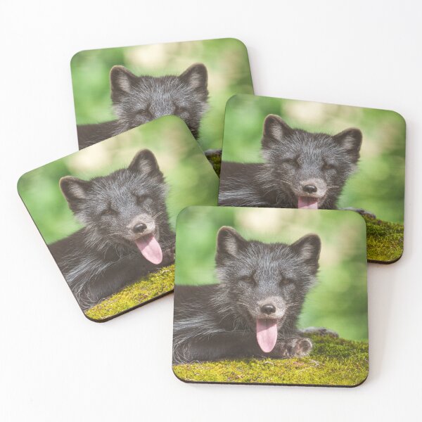 Item preview, Resting Arctic Fox designed and sold by rawshutterbug.