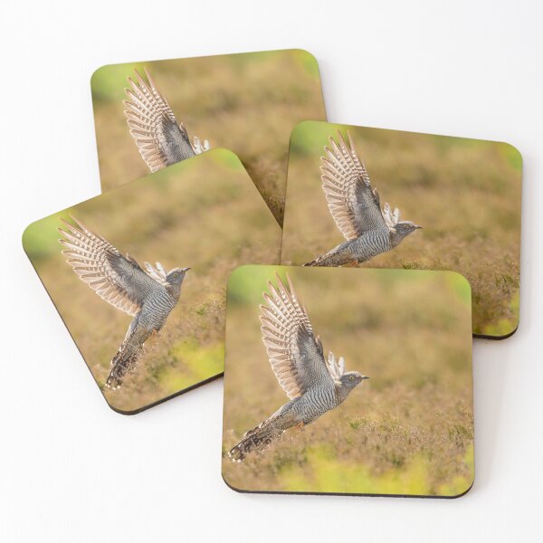 Item preview, Cuckoo ready for take off designed and sold by AG-Wildlife.