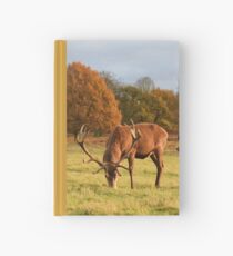 Deer in Richmond Park Hardcover Journal