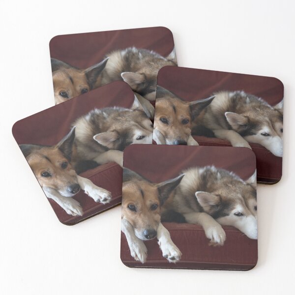 Item preview, Dogs on the sofa designed and sold by Calidris Fotografie Steffi & Ben Köppler.