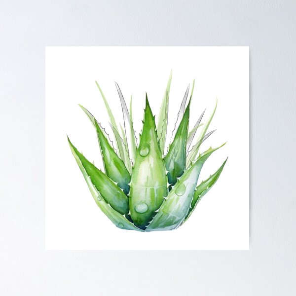 Item preview, Aloe Vera Lovers designed and sold by Yeyishop.