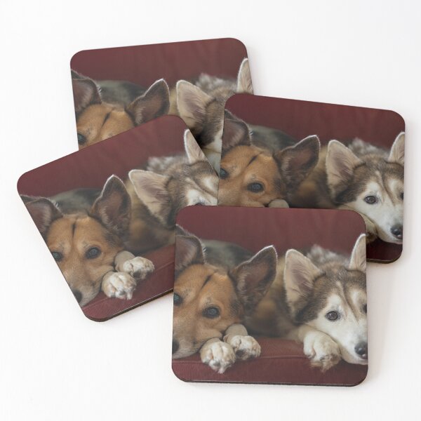 Item preview, Dogs on the Sofa designed and sold by Calidris Fotografie Steffi & Ben Köppler.