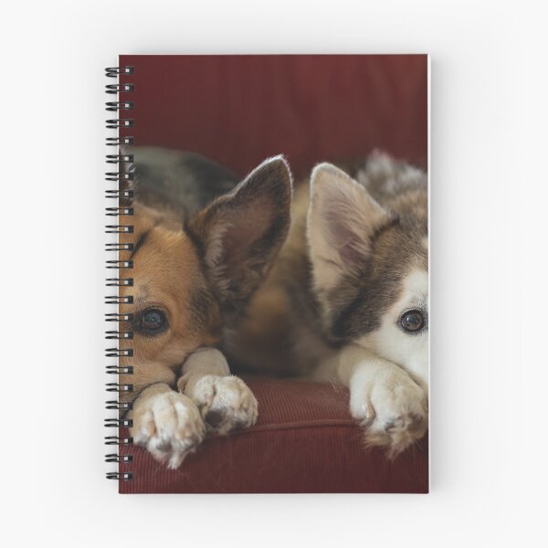 Item preview, Dogs on the Sofa designed and sold by Calidris Fotografie Steffi & Ben Köppler.
