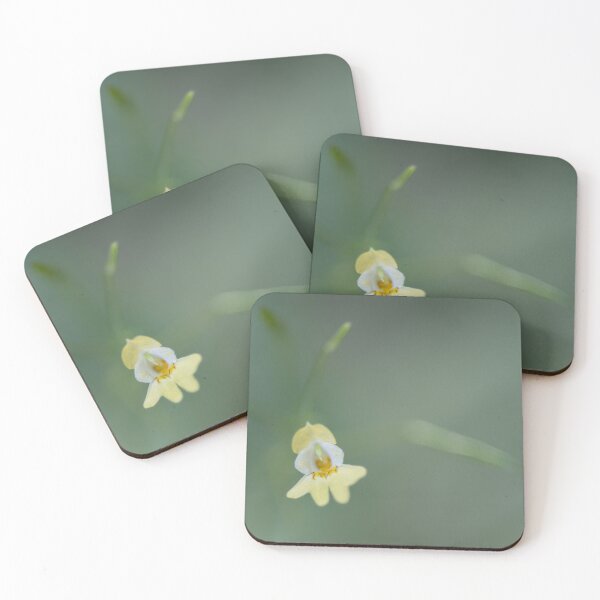 Item preview, Yellow Flower designed and sold by Calidris Fotografie Steffi & Ben Köppler.