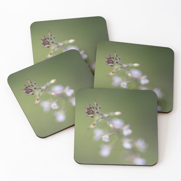 Item preview, plant designed and sold by Calidris Fotografie Steffi & Ben Köppler.