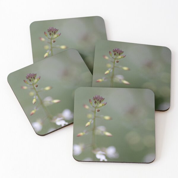 Item preview, Flower designed and sold by Calidris Fotografie Steffi & Ben Köppler.
