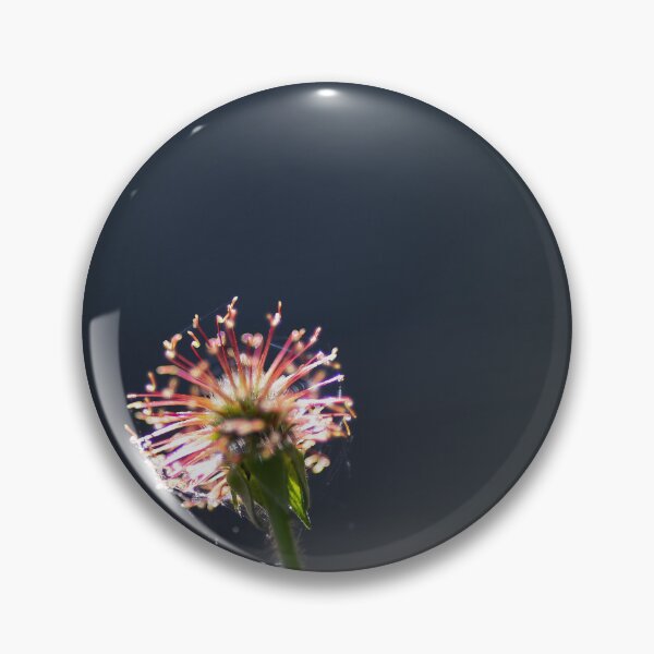 Item preview, Backlight designed and sold by Calidris Fotografie Steffi & Ben Köppler.