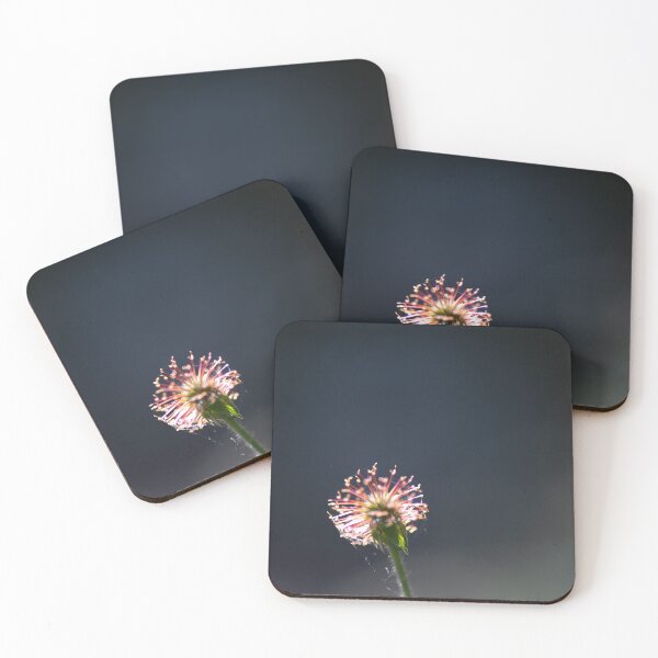 Item preview, Backlight designed and sold by Calidris Fotografie Steffi & Ben Köppler.