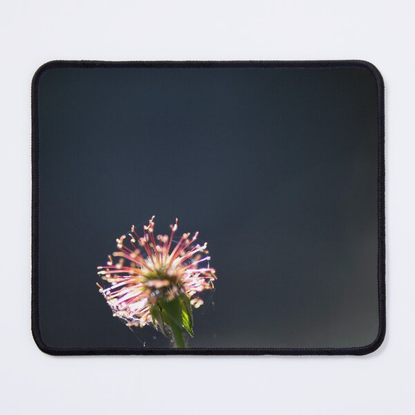 Item preview, Backlight designed and sold by Calidris Fotografie Steffi & Ben Köppler.