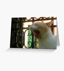 Wild Cat Greeting Card