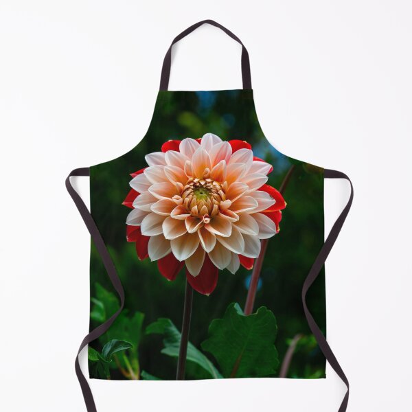 Item preview, Dahlia designed and sold by Radfotografie.