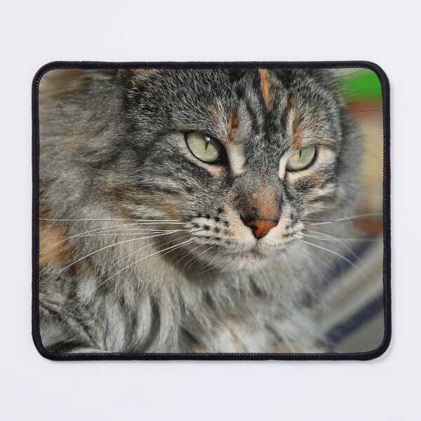 Item preview, Green Cat Eyes designed and sold by bagiolita.
