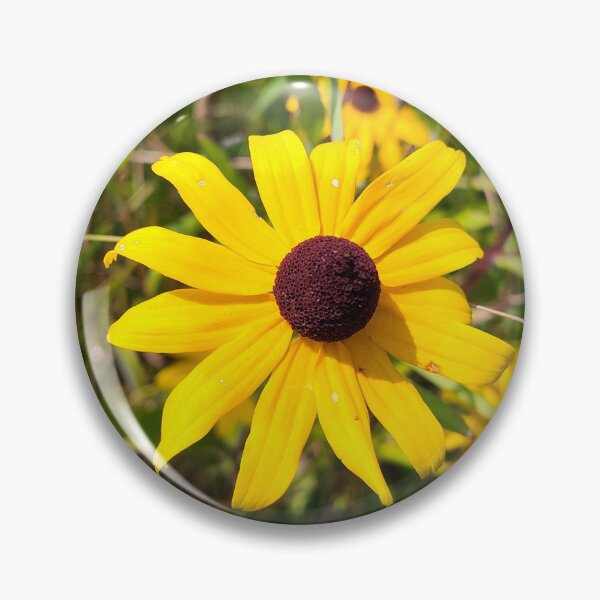 Item preview, Shine, Shout and Sing designed and sold by SCTBUFFALOPHOTO.