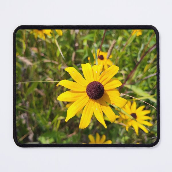 Item preview, Shine, Shout and Sing designed and sold by SCTBUFFALOPHOTO.