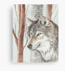 Timber Wolf Canvas Print