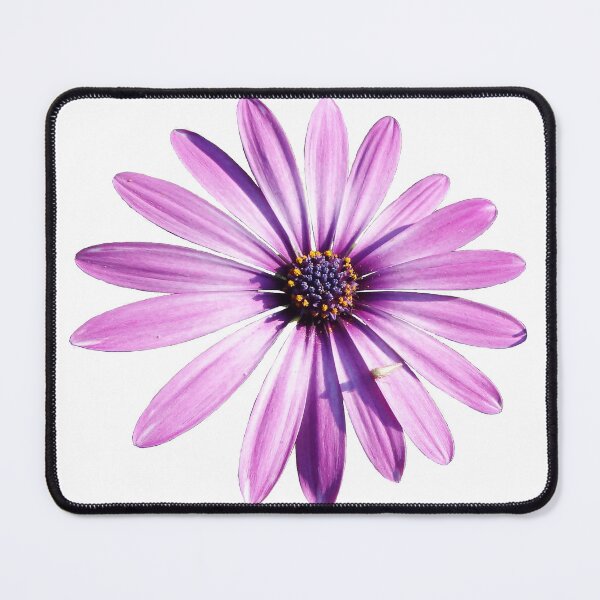 Item preview, Purple flower isolated designed and sold by HenryLt4.