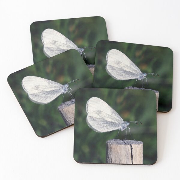 Item preview, Wood White Butterfly designed and sold by Tom McPherson Photography.