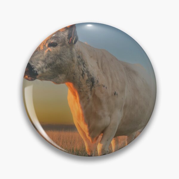 Item preview, One of the Cows on Rodborough Common, Stroud, Gloucestershire  designed and sold by Jeff  Wilson.