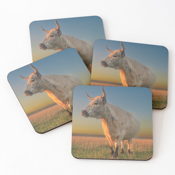 Item preview, One of the Cows on Rodborough Common, Stroud, Gloucestershire  designed and sold by Jeff  Wilson.
