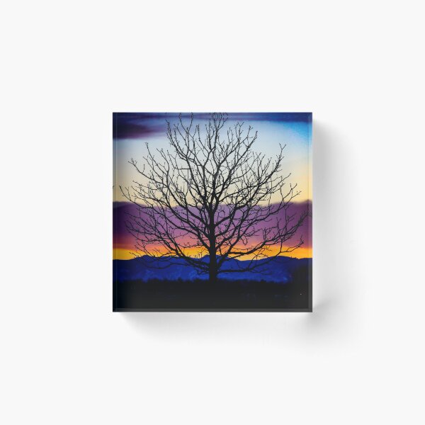 Item preview, Sunset Winter Tree designed and sold by ImaginedMore.