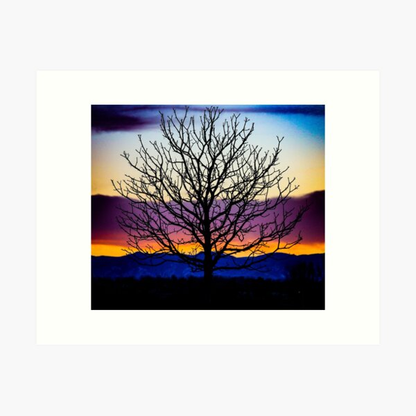 Item preview, Sunset Winter Tree designed and sold by ImaginedMore.