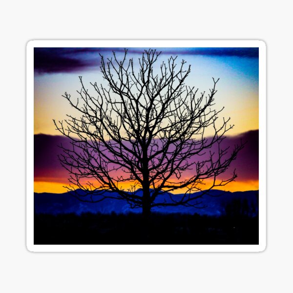 Item preview, Sunset Winter Tree designed and sold by ImaginedMore.