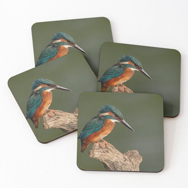 Item preview, Kingfisher eyeing up his meal designed and sold by AG-Wildlife.
