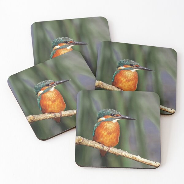 Item preview, Kingfisher designed and sold by Tom McPherson Photography.