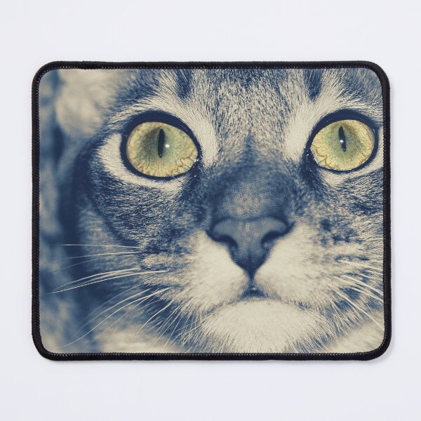 Item preview, The thoughtful look of a cat designed and sold by Kacharava.