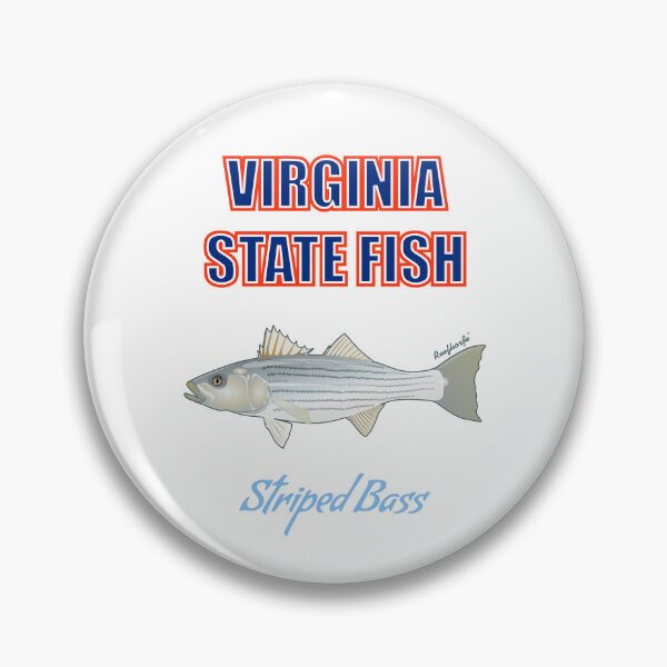 Item preview, Virginia State Freshwater Fish - Brook Trout T-Shirt designed and sold by KaplanCrypto.