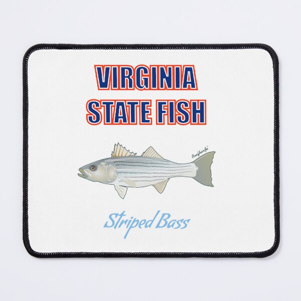 Item preview, Virginia State Freshwater Fish - Brook Trout T-Shirt designed and sold by KaplanCrypto.