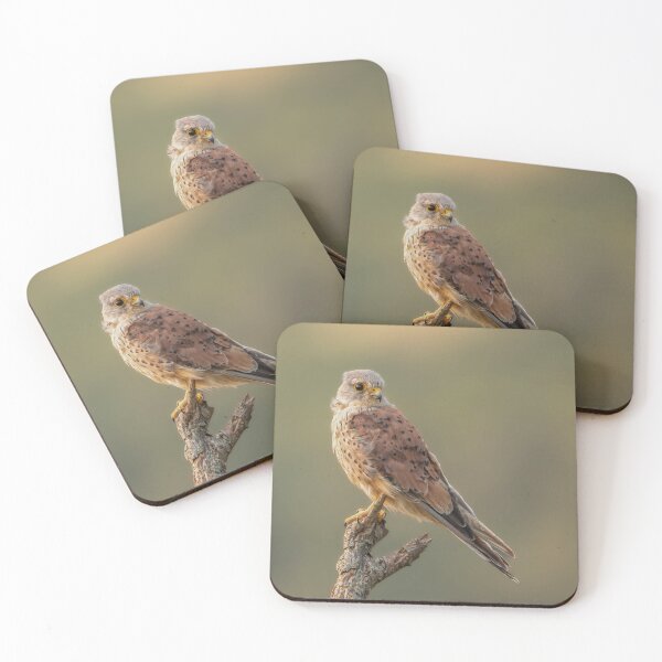 Item preview, Sky Hunters The Kestrel designed and sold by AG-Wildlife.