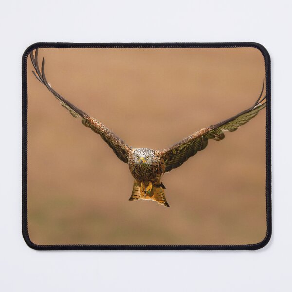 Item preview, The king of the scavengars designed and sold by AG-Wildlife.