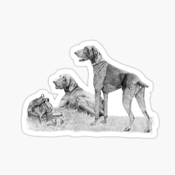 German shorthair pointer Sticker