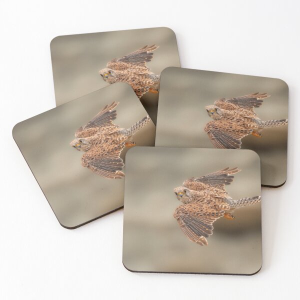 Item preview, Kestrel in flight mode designed and sold by AG-Wildlife.